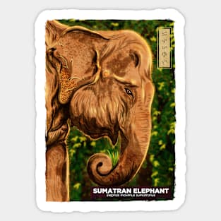 Sumatran Elephant - White Sticker